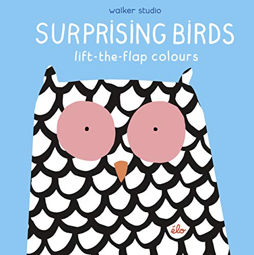 Beispielbild fr Surprising Birds Lift The Flap Colours zum Verkauf von SecondSale