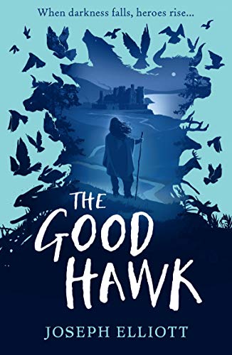 Stock image for The Good Hawk (Shadow Skye, Book One) for sale by WorldofBooks