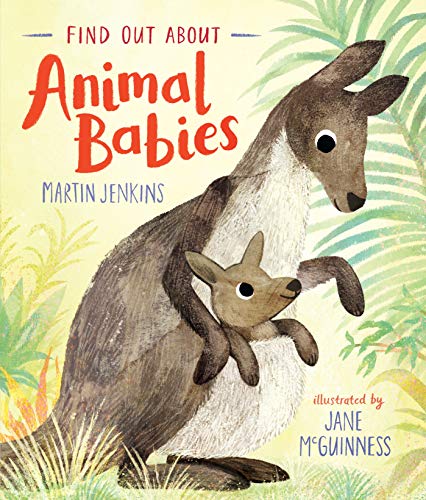 Stock image for Find Out About . Animal Babies for sale by AwesomeBooks