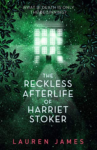 Beispielbild fr The Reckless Afterlife of Harriet Stoker zum Verkauf von AwesomeBooks