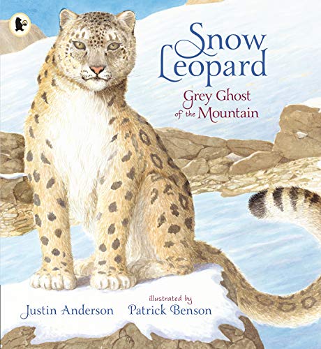 Beispielbild fr Snow Leopard: Grey Ghost of the Mountain (Nature Storybooks) zum Verkauf von WorldofBooks