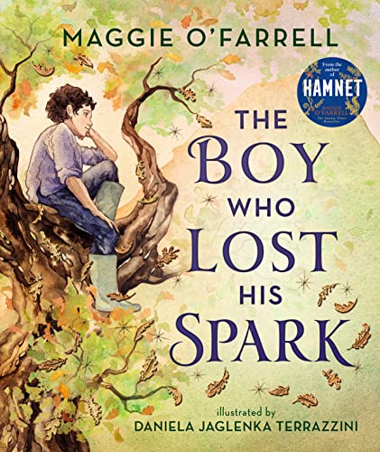 Stock image for The Boy Who Lost His Spark for sale by AwesomeBooks