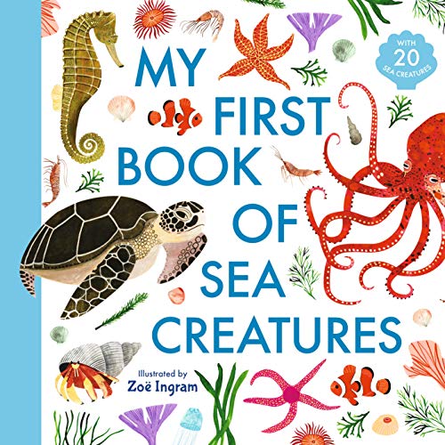 Stock image for My First Book of Sea Creatures (Zoe Ingram's My First Book of.) for sale by Bahamut Media