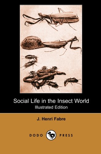 9781406516562: Social Life in the Insect World (Illustrated Edition) (Dodo Press)