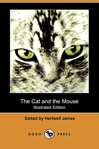 9781406576764: The Cat and the Mouse