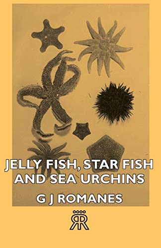 Imagen de archivo de Jelly Fish, Star Fish and Sea Urchins a la venta por PBShop.store US