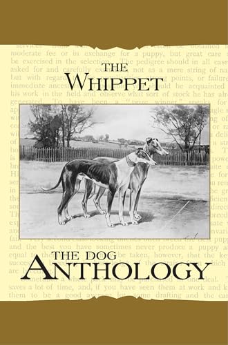 Stock image for Whippet - A Dog Anthology (A Vintage Dog Books Breed Classic) for sale by Revaluation Books