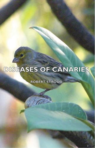 Imagen de archivo de Diseases of Canaries a la venta por HPB-Red