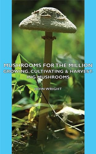 Imagen de archivo de Mushrooms for the Million - Growing, Cultivating & Harvesting Mushrooms a la venta por Lucky's Textbooks
