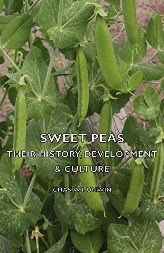 Stock image for Sweet Peas Their History, Development Culture for sale by PBShop.store US