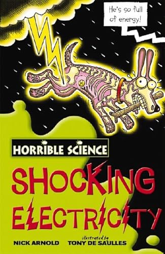 Beispielbild fr Shocking Electricity zum Verkauf von Better World Books