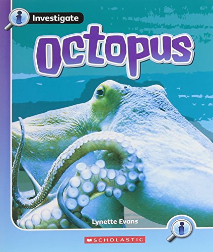 Beispielbild fr Octopus zum Verkauf von AwesomeBooks