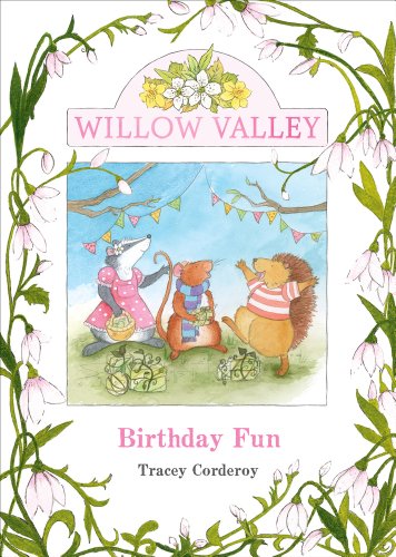 Beispielbild fr Birthday Fun: 1 (Willow Valley) zum Verkauf von WorldofBooks