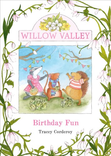 Stock image for Birthday Fun (Willow Valley) for sale by AwesomeBooks