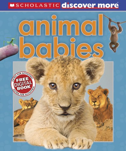9781407131481: Animal Babies (Discover More)