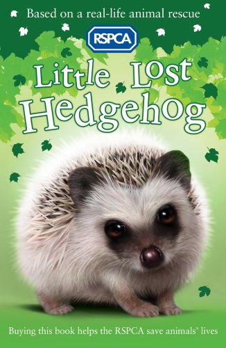 Imagen de archivo de Little Lost Hedgehog. Jill Hucklesby a la venta por ThriftBooks-Dallas