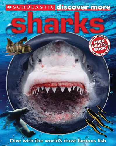 Stock image for Sharks (Discover More) for sale by SecondSale