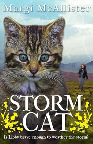 Beispielbild fr Storm Cat zum Verkauf von AwesomeBooks