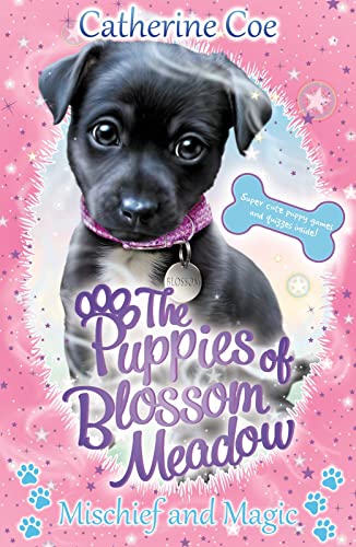 Stock image for Mischief and Magic (Puppies of Blossom Meadow #2) for sale by WorldofBooks