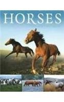 Imagen de archivo de Horses a la venta por Better World Books