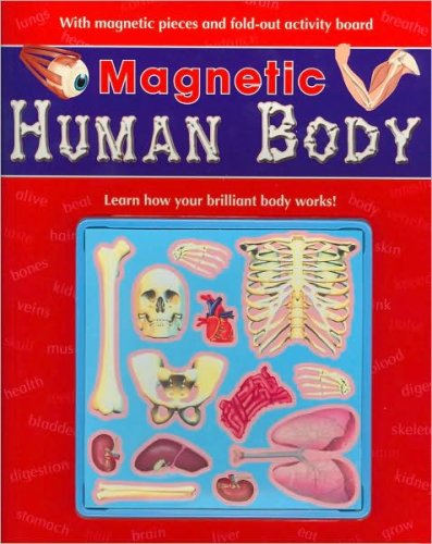Imagen de archivo de Magnetic Human Body (Magnetic Workbooks) a la venta por Wonder Book