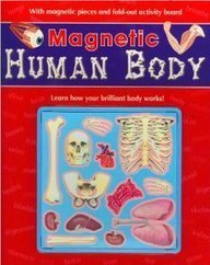9781407505992: Magnetic Human Body (Magnetic Workbooks)