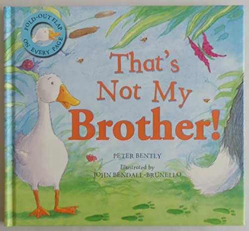 Stock image for Thats Not My Brother! (Gatefold Picture Book) for sale by Front Cover Books
