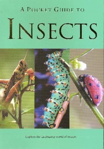 Beispielbild fr A Pocket Guide to Insects (Pocket Guides) zum Verkauf von Better World Books