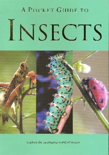 Imagen de archivo de A Pocket Guide to Insects (Pocket Guides) a la venta por Better World Books