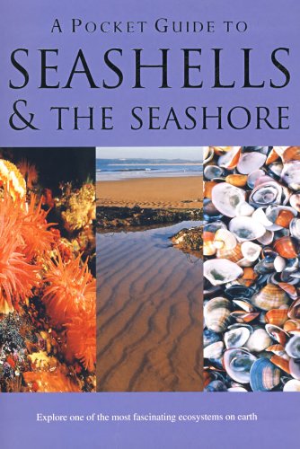 Beispielbild fr A Pocket Guide to Seashells & the Seashore (Pocket Guides) zum Verkauf von Wonder Book