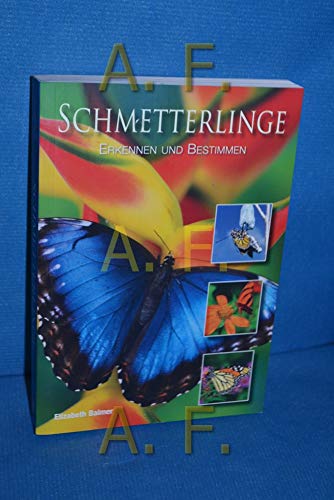 Beispielbild fr Pocket Guide Schmetterlinge: Erkennen und Bestimmen zum Verkauf von medimops