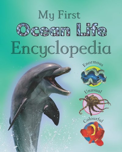 Stock image for Reference 5+: Children's Ocean Life Encyclopedia for sale by AwesomeBooks