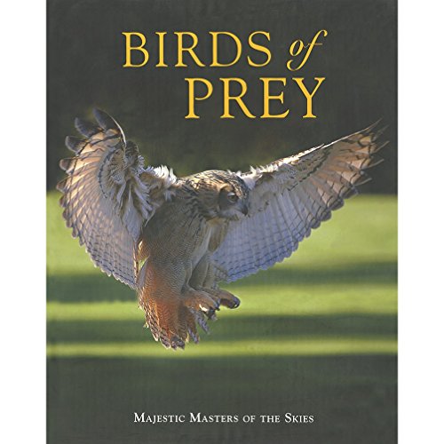 Stock image for Birds of Prey for sale by SecondSale