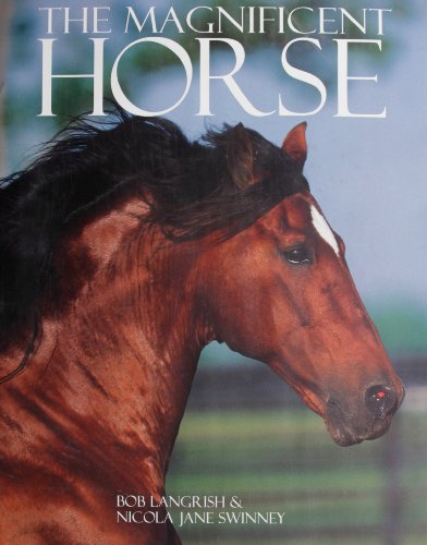 9781407515953: The Magnificent Horse (Coffee Table)