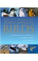 Stock image for Encyclopedia of North American Birds for sale by Better World Books: West