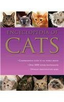 9781407524375: Encyclopedia Of Cats