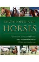 Stock image for Encyclopedia of Horses for sale by Better World Books