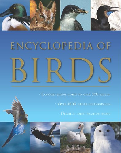 Beispielbild fr European Birds zum Verkauf von AwesomeBooks