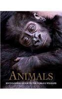 Stock image for Animals : Encyclopedic Guide to the World's Wildlife for sale by Better World Books