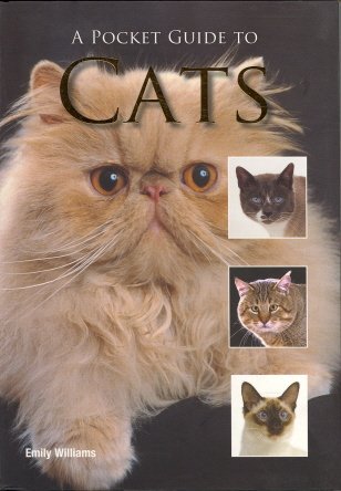 Stock image for A Pocket Guide to Cats for sale by Better World Books