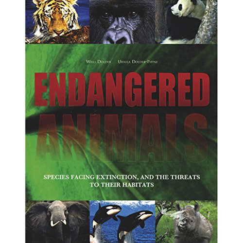 9781407556970: Endangered Animals: Species Facing Extinction and the Threats to Their Habitats