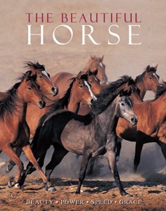 Stock image for The Beautiful Horse for sale by Better World Books Ltd