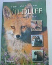 Beispielbild fr A Field Guide to the Wildlife of North America zum Verkauf von Wonder Book