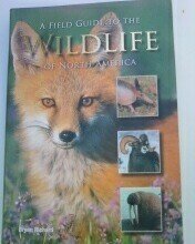 Stock image for A Field Guide to the Wildlife of North America for sale by Wonder Book