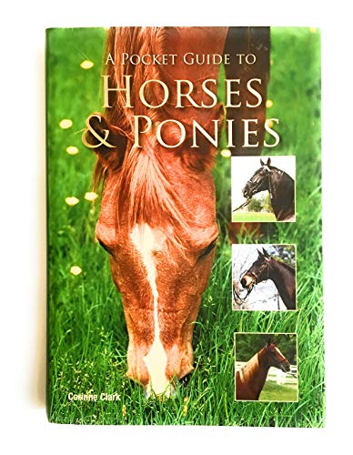 Stock image for A pocket guide to Horses & Ponies for sale by Librera 7 Colores