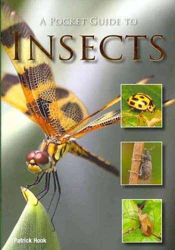 Imagen de archivo de A Pocket Guide to Insects a la venta por Wonder Book