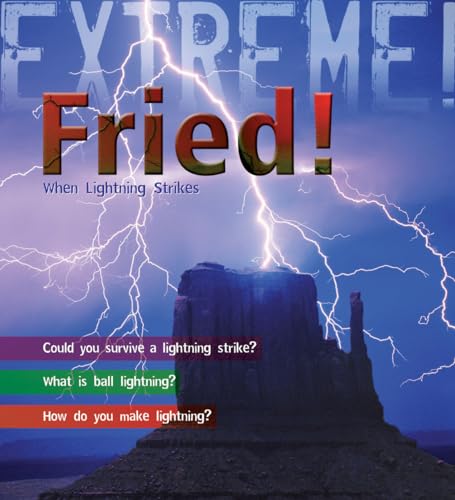 Stock image for Fried! : When Lightning Strikes for sale by Better World Books Ltd