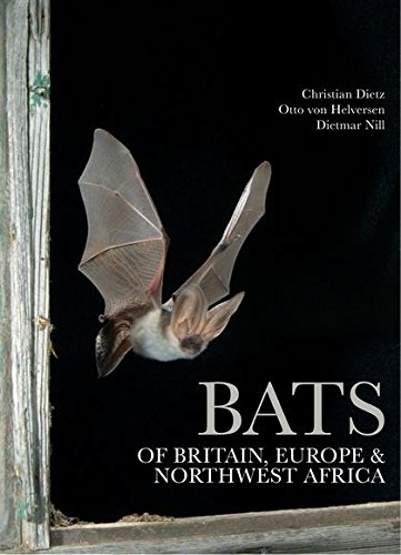 Stock image for Bats of Britain, Europe and Northwest Africa for sale by GF Books, Inc.
