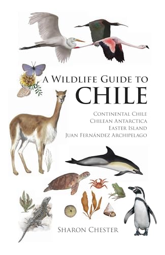 Stock image for A Wildlife Guide to Chile for sale by ubucuu