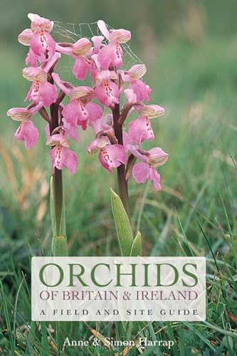 Stock image for Orchids of Britain and Ireland: A Field and Site Guide for sale by WorldofBooks